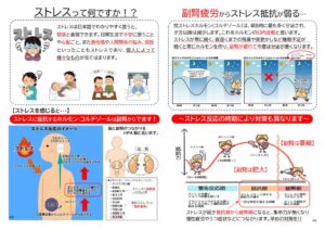 ストレスと副腎疲労（2つ折り）のサムネイル