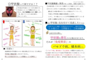 甲状腺チラシ横向き（ページ付き・最新）のサムネイル