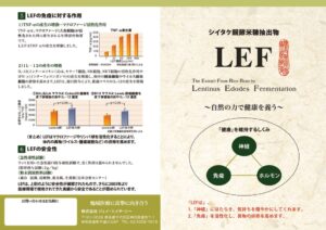 lefのパンフレット（2つ折り）_cのサムネイル